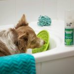 Adams Flea Shampoo for Dogs: 7 Proven Ways to Avoid a Painful Infestation