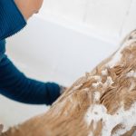 Gentle Cleansing Agents: 7 Proven Tips to Avoid Painful Shampoo Mistakes